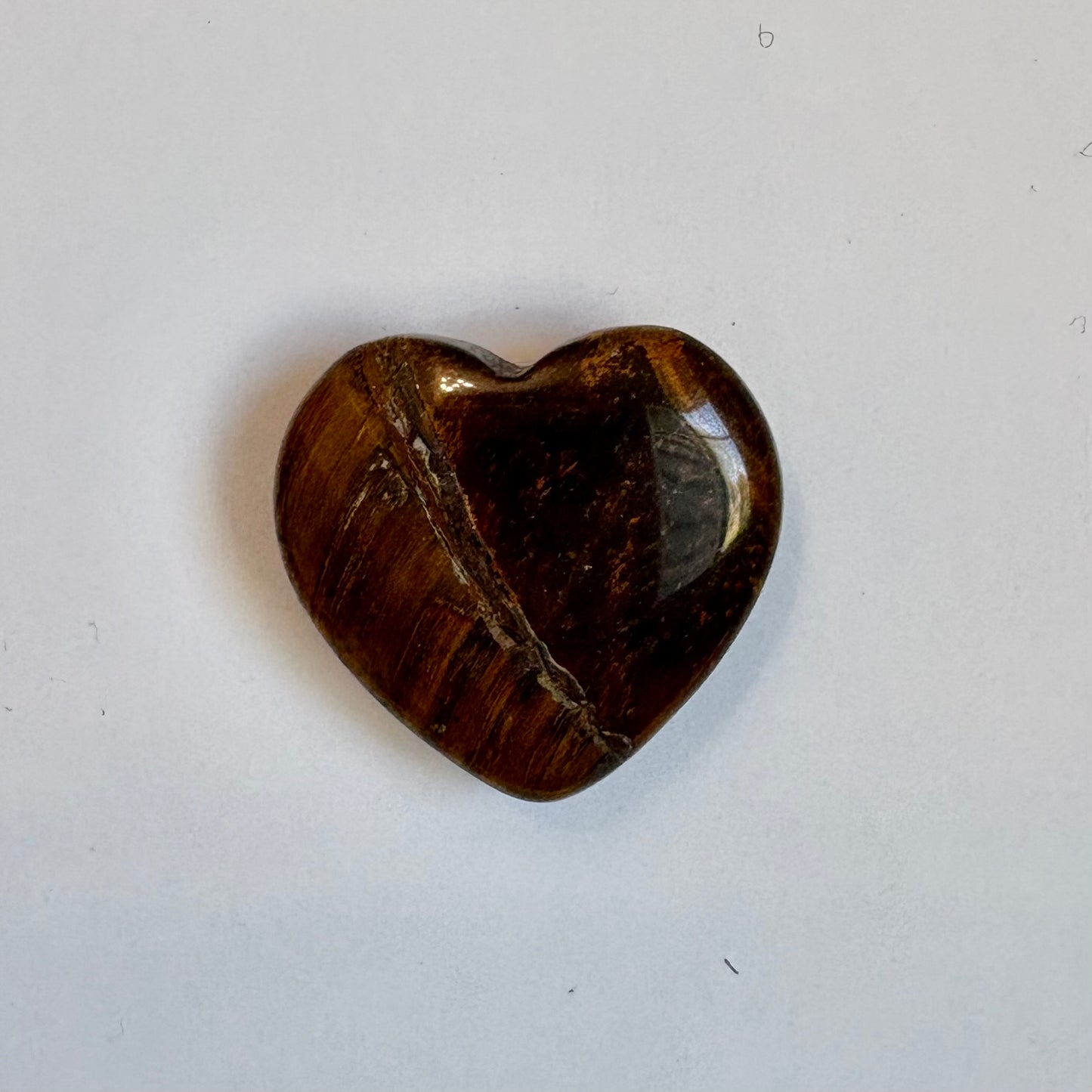 Tiger's Eye Root Magnet