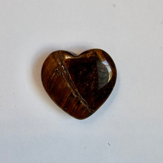 Tiger's Eye Root Magnet