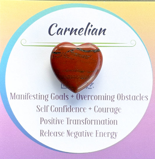 Root - Red Carnelian Crystal Magnet